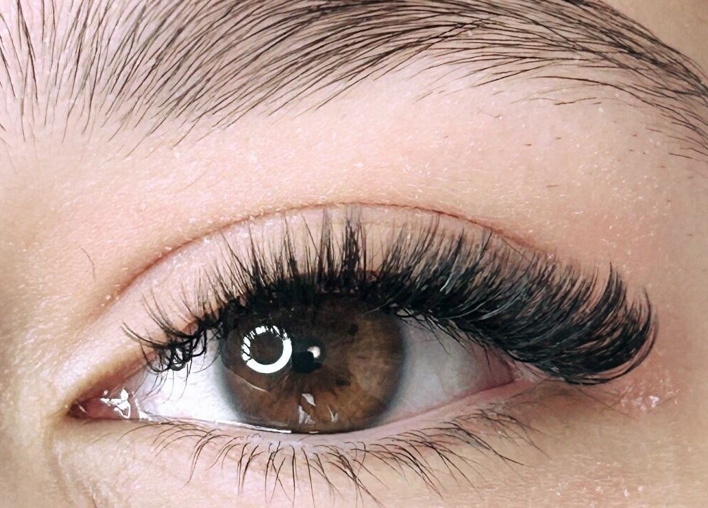 Close-up of eye with elegant eyelash extensions at Missmango.lashes (Angelica), Red Deer, Alberta, CA.
