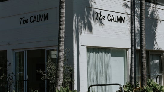 The CALMM Newport 3