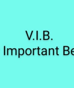 V.I.B. Very Important Beauty  billede 2