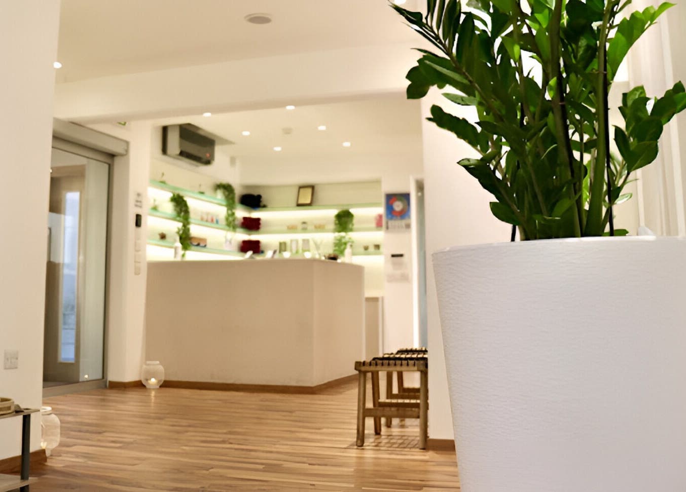 Entrance of Health First Clinic, Lemesos, CY, featuring serene decor with plants and wooden flooring.
