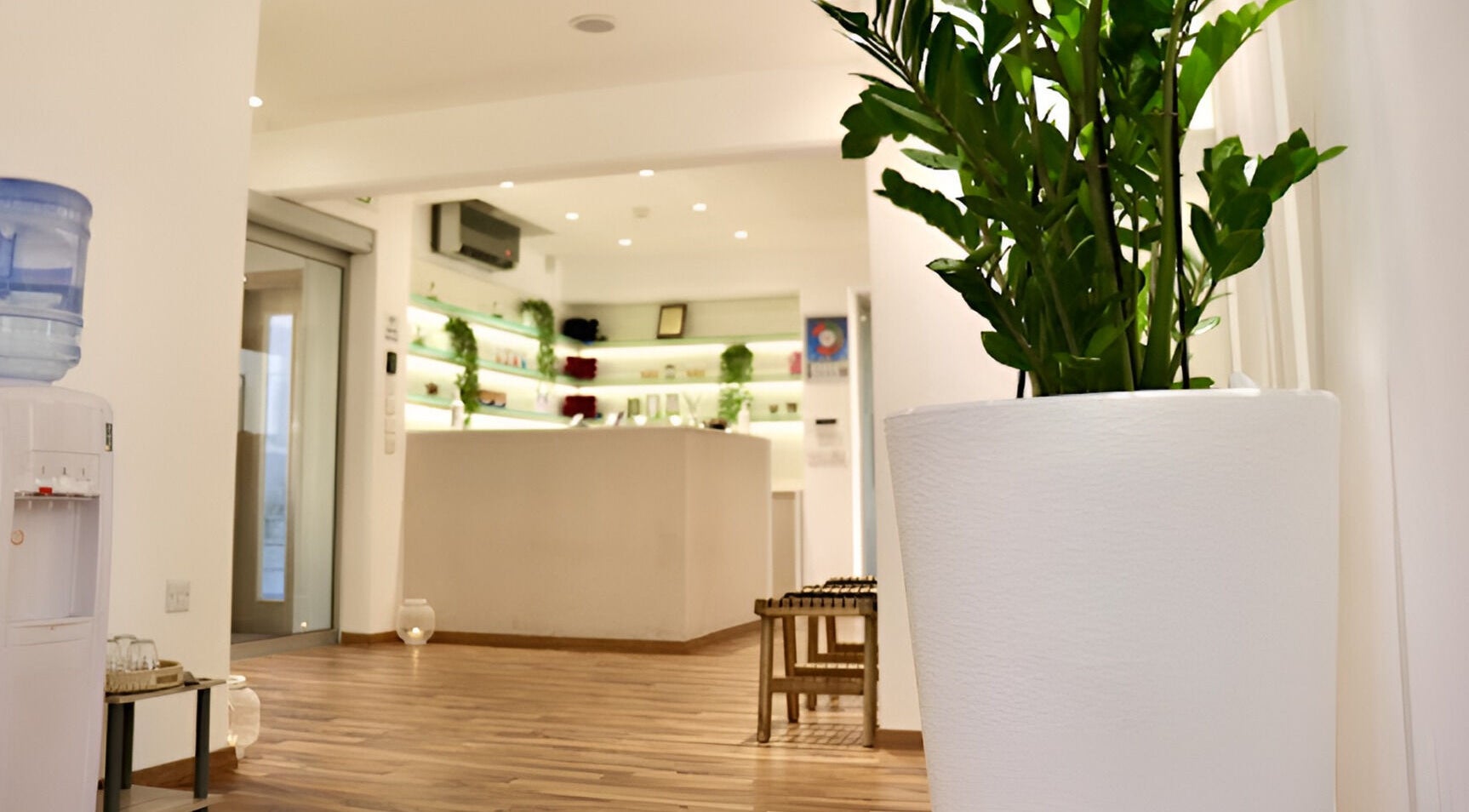 Entrance of Health First Clinic, Lemesos, CY, featuring serene decor with plants and wooden flooring.
