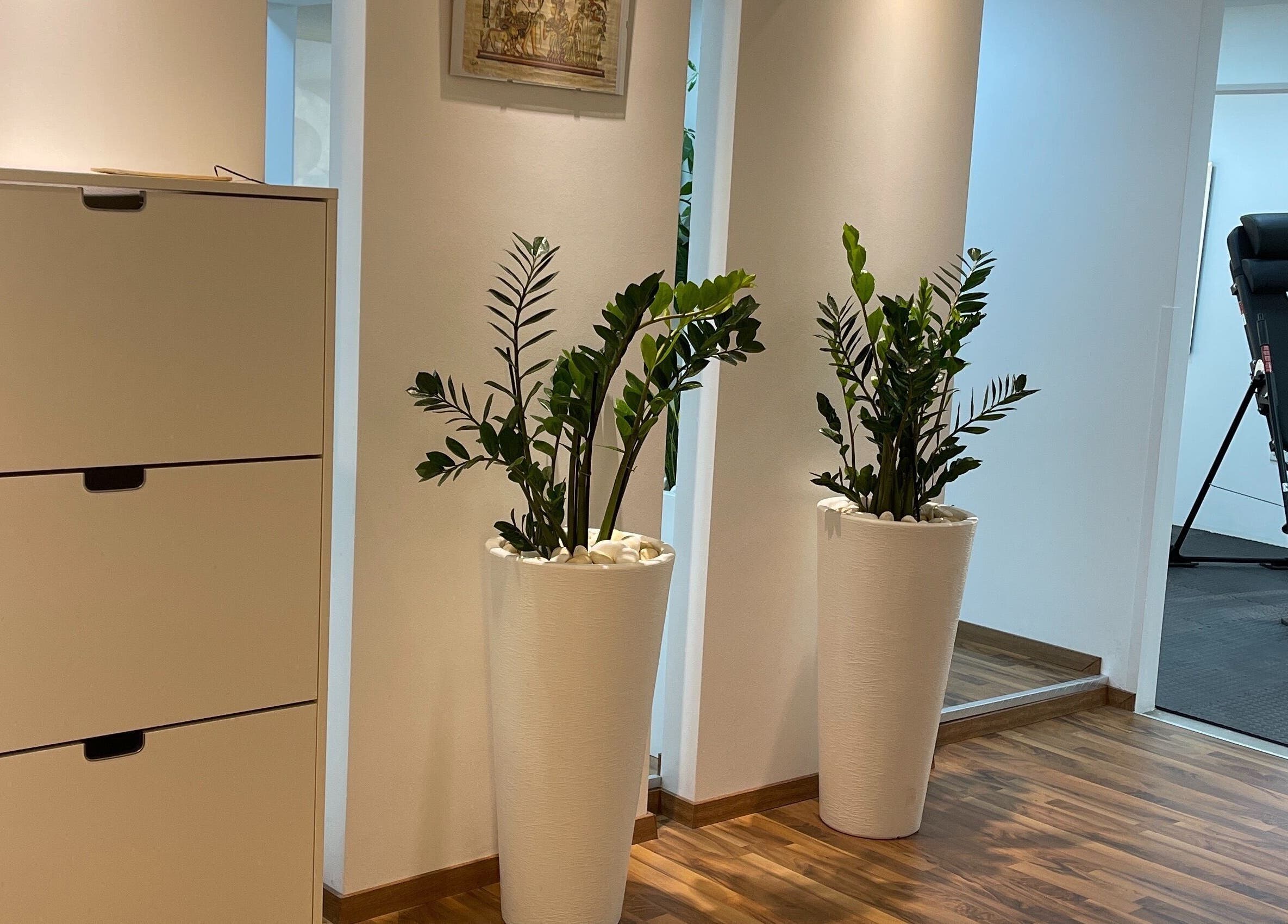 Elegant entry of Health First Clinic in Lemesos, Lemesos, CY, featuring green plants and sleek furnishings.