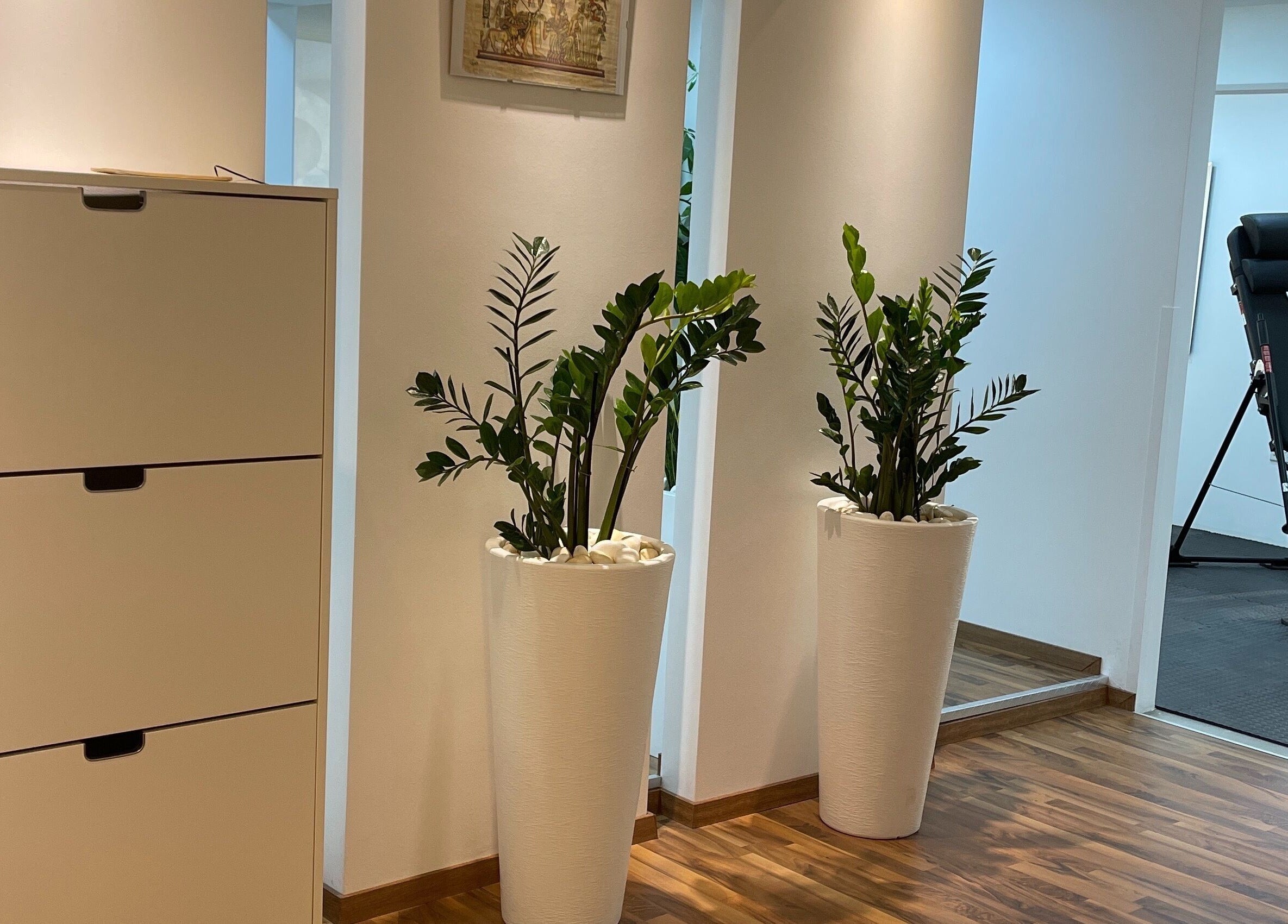 Elegant entry of Health First Clinic in Lemesos, Lemesos, CY, featuring green plants and sleek furnishings.