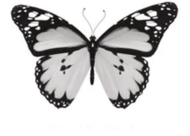 Monarch butterfly logo for Butterfly Beauty in Elgin, Scotland, GB symbolizing elegance and transformation.