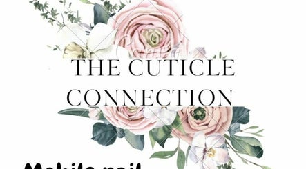 The Cuticle Connection