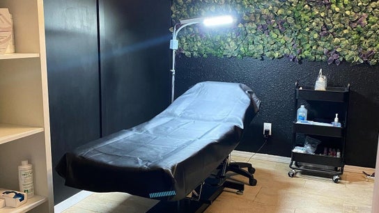 MicroMeeks Skin Studio