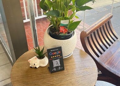 Inviting seating area at Paradai Thai Massage & Bodycare (Elsternwick), Melbourne, Victoria, AU with plant decor.