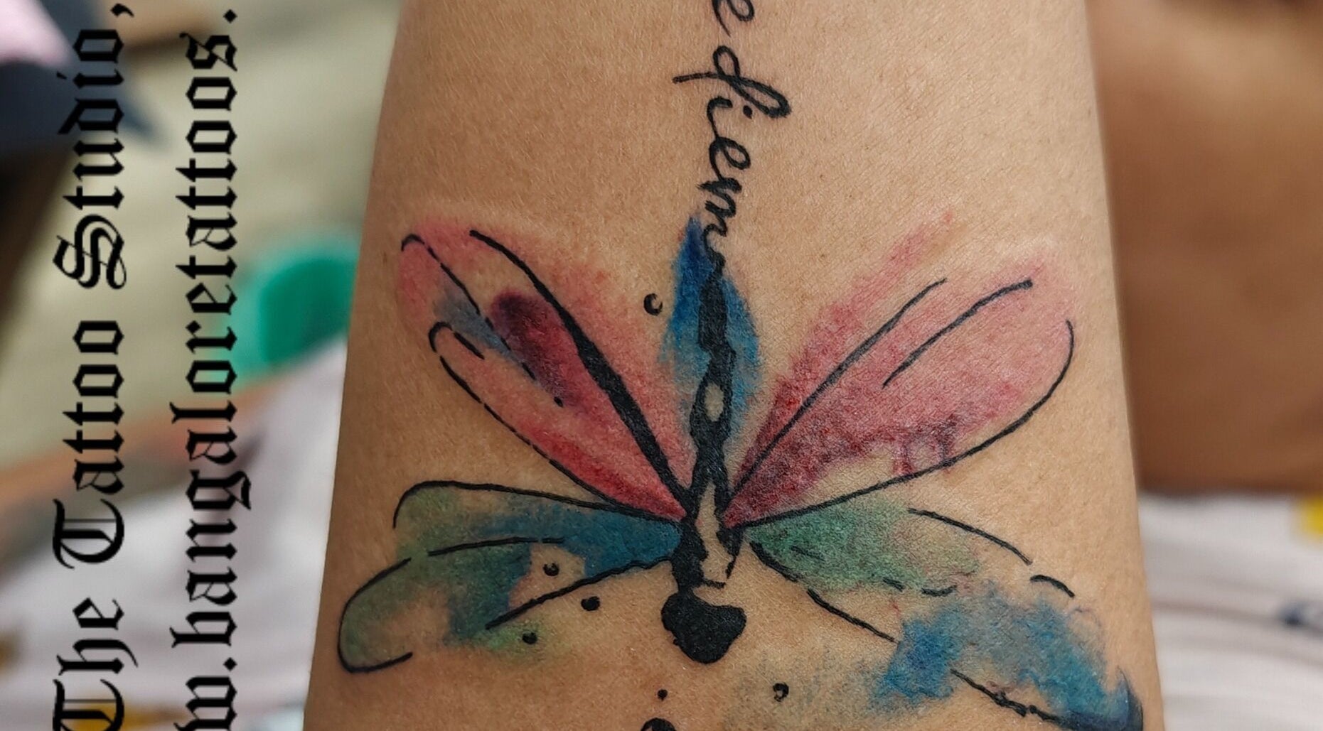 Colorful dragonfly tattoo design at Dark Arts The Tattoo Studio, Bengaluru, Karnataka, IN.