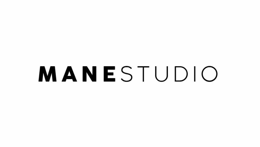 Mane Studio image 1