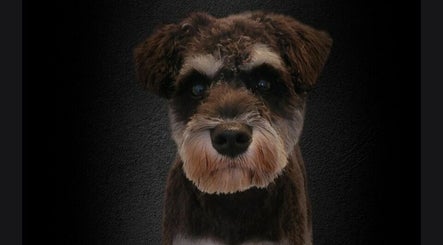 D.O.G's & Co Grooming, Doggy daycare & Pet Supplies image 3