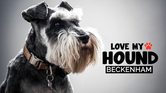 LOVE MY HOUND | BECKENHAM