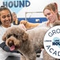 LOVE MY HOUND | GROOM ACADEMY | BROMLEY