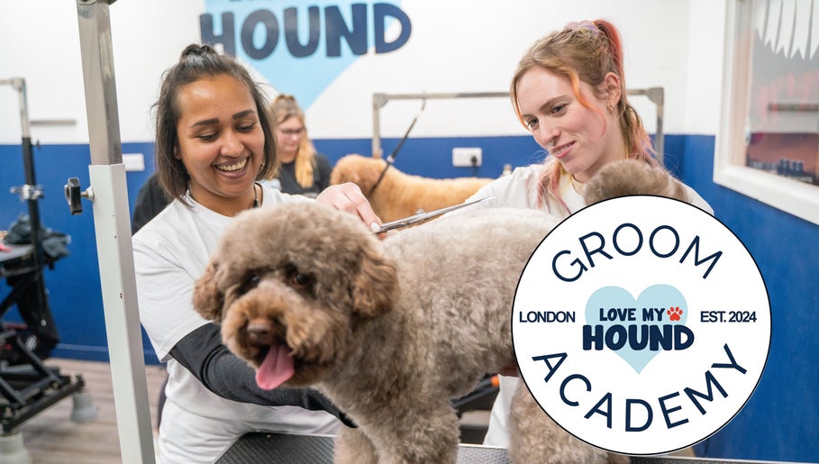 LOVE MY HOUND | GROOM ACADEMY | BROMLEY image 1