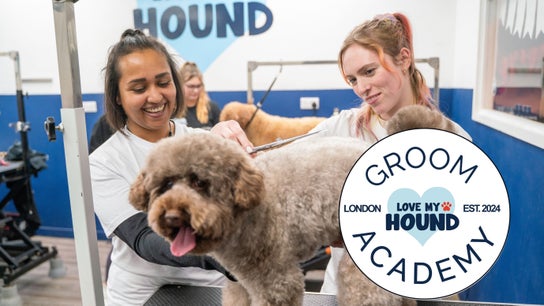 LOVE MY HOUND | GROOM ACADEMY | BROMLEY