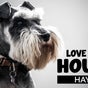 LOVE MY HOUND | HAYES