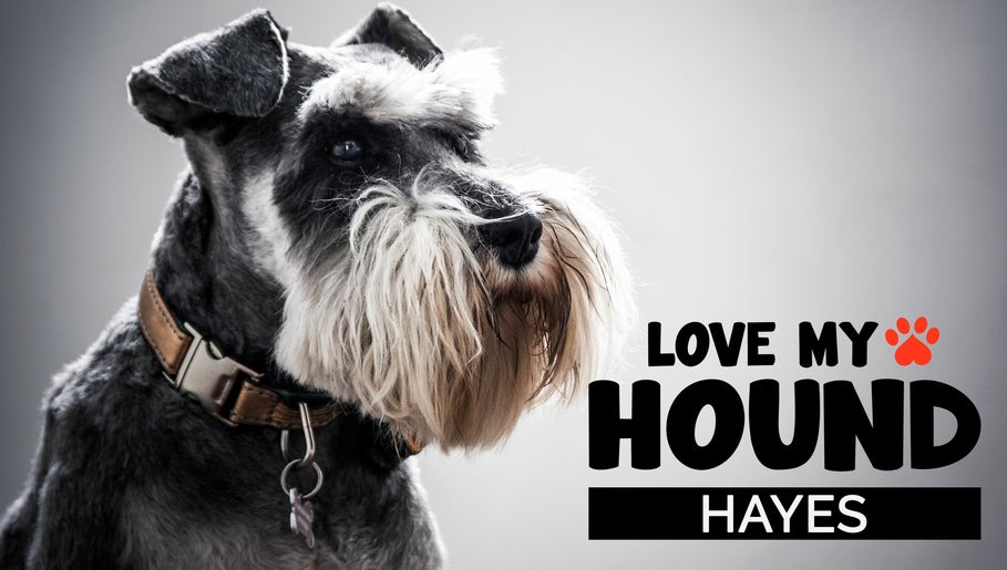 LOVE MY HOUND | HAYES image 1