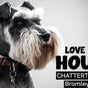 LOVE MY HOUND | CHATTERTON