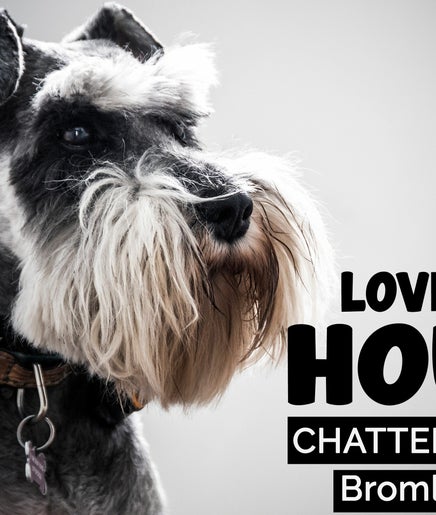 LOVE MY HOUND | CHATTERTON imaginea 2