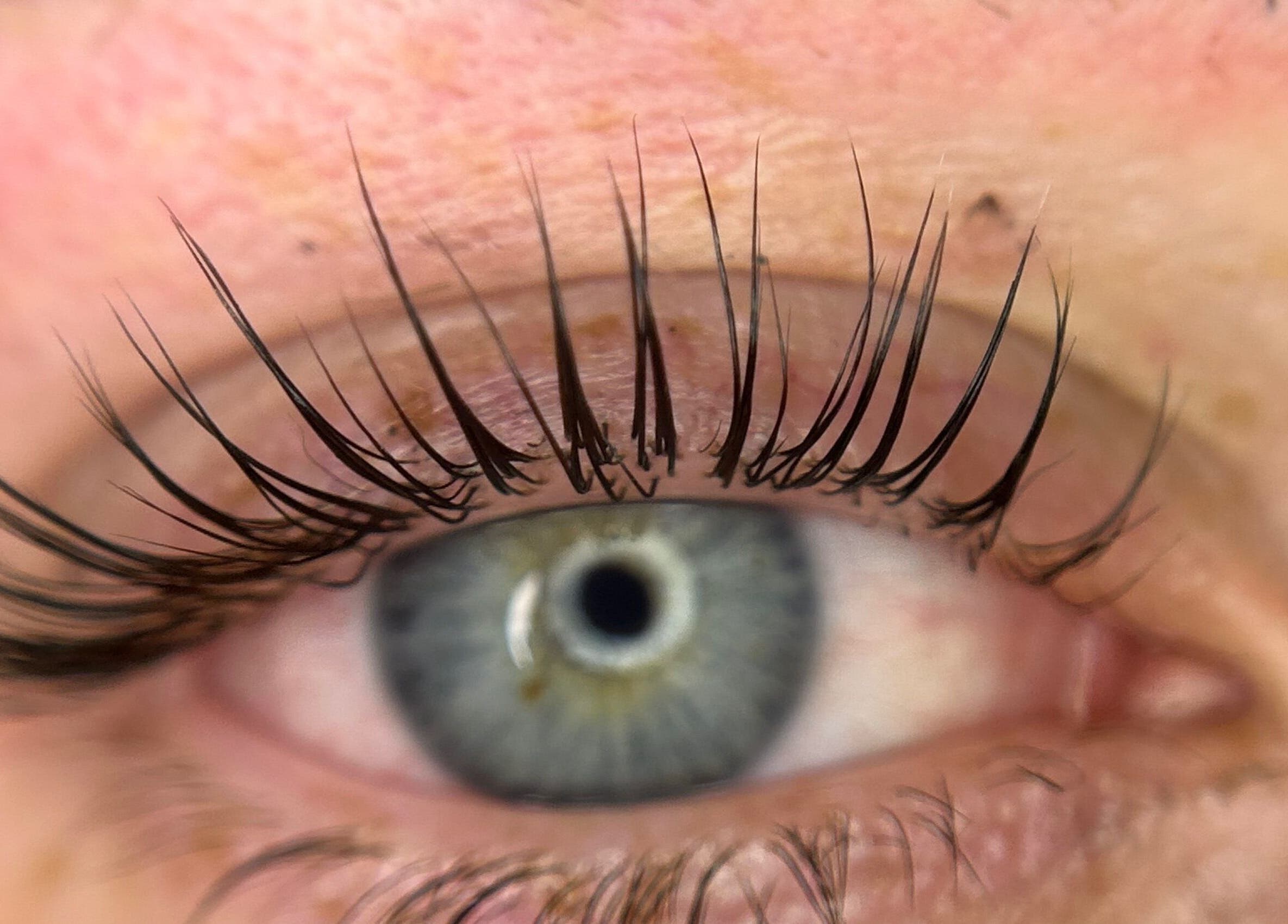 Close-up of expertly applied eyelash extensions at MP Lash Artistry, Narellan, New South Wales, AU.