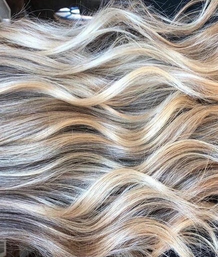 Hair Organics by Stefanie  image 2