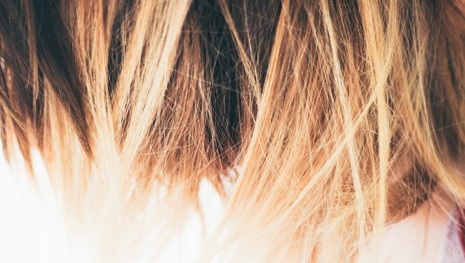 The Hair Foundation image 1