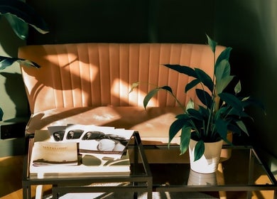 Elegant lounge at R&R Organic Hair, London, England, with plants and a cozy sofa.