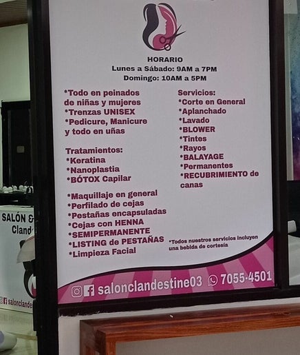 Imagen 2 de salon clandestine 03