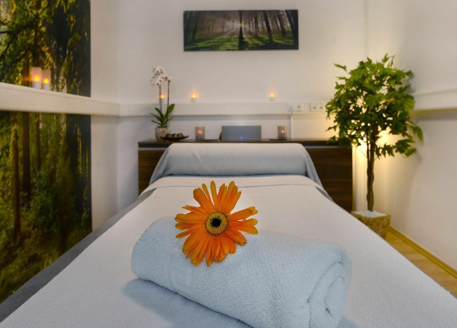 Massageraum bei Berlin Relaxed in Berlin, Berlin, DE. Entspanntes Ambiente mit Naturdekor und Blume.