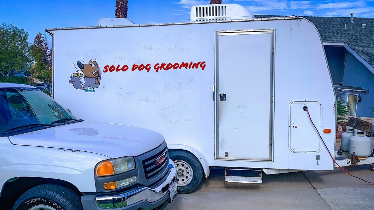  Solo Dog Grooming in 2023 The ultimate guide 