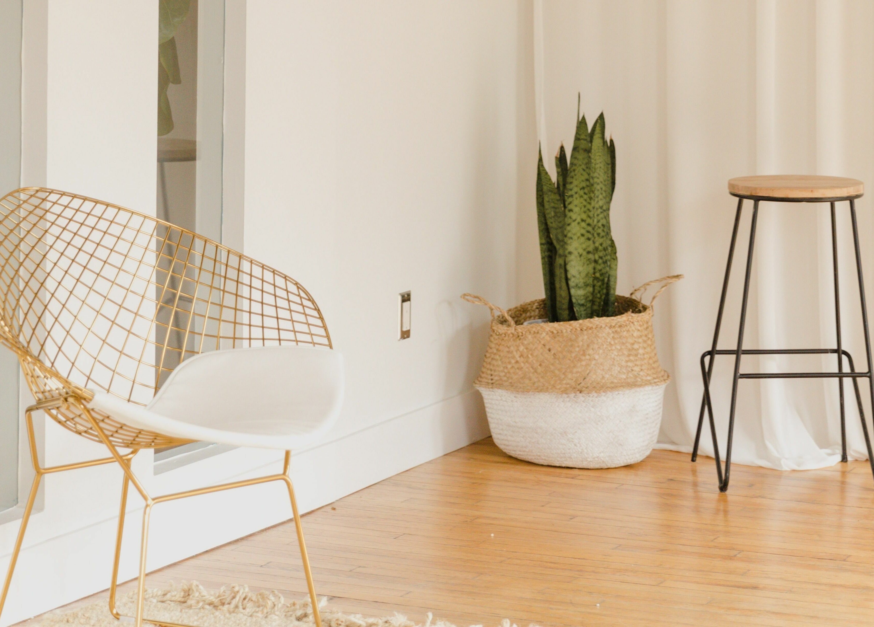 Modern seating with a plant in a cozy corner at THIC Studio, Toronto, Ontario, CA.
