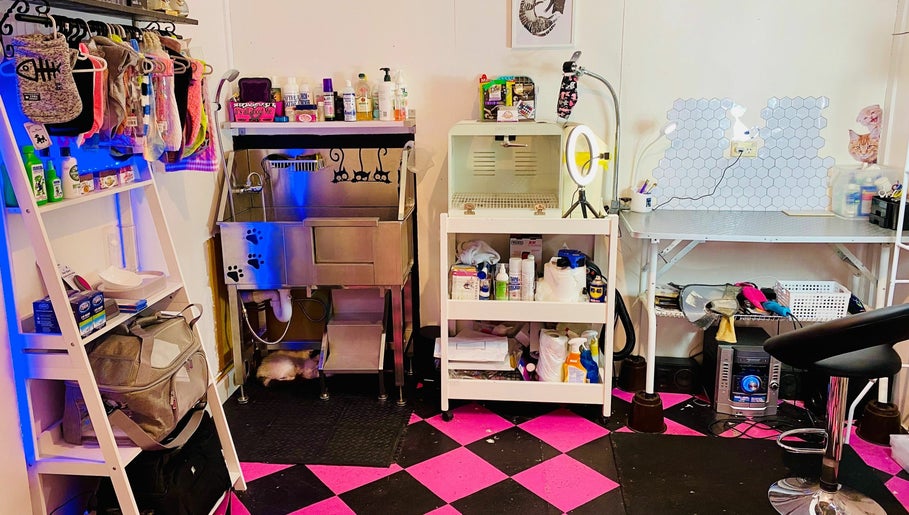 The Cat Salon image 1