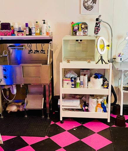 The Cat Salon image 2