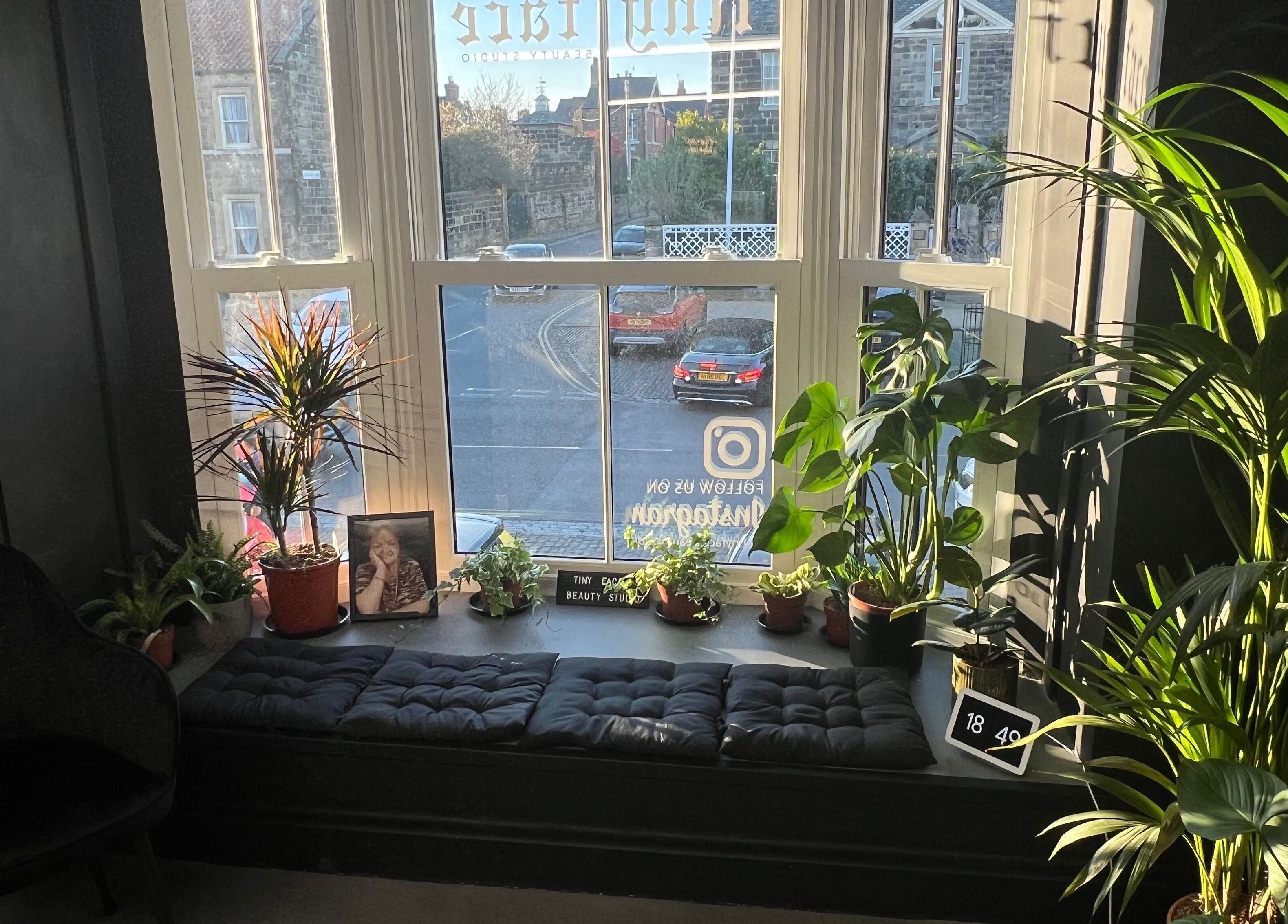 Cozy seating with plants at Tiny Face / Steph, Guisborough, England, GB looking out a sunlit window.