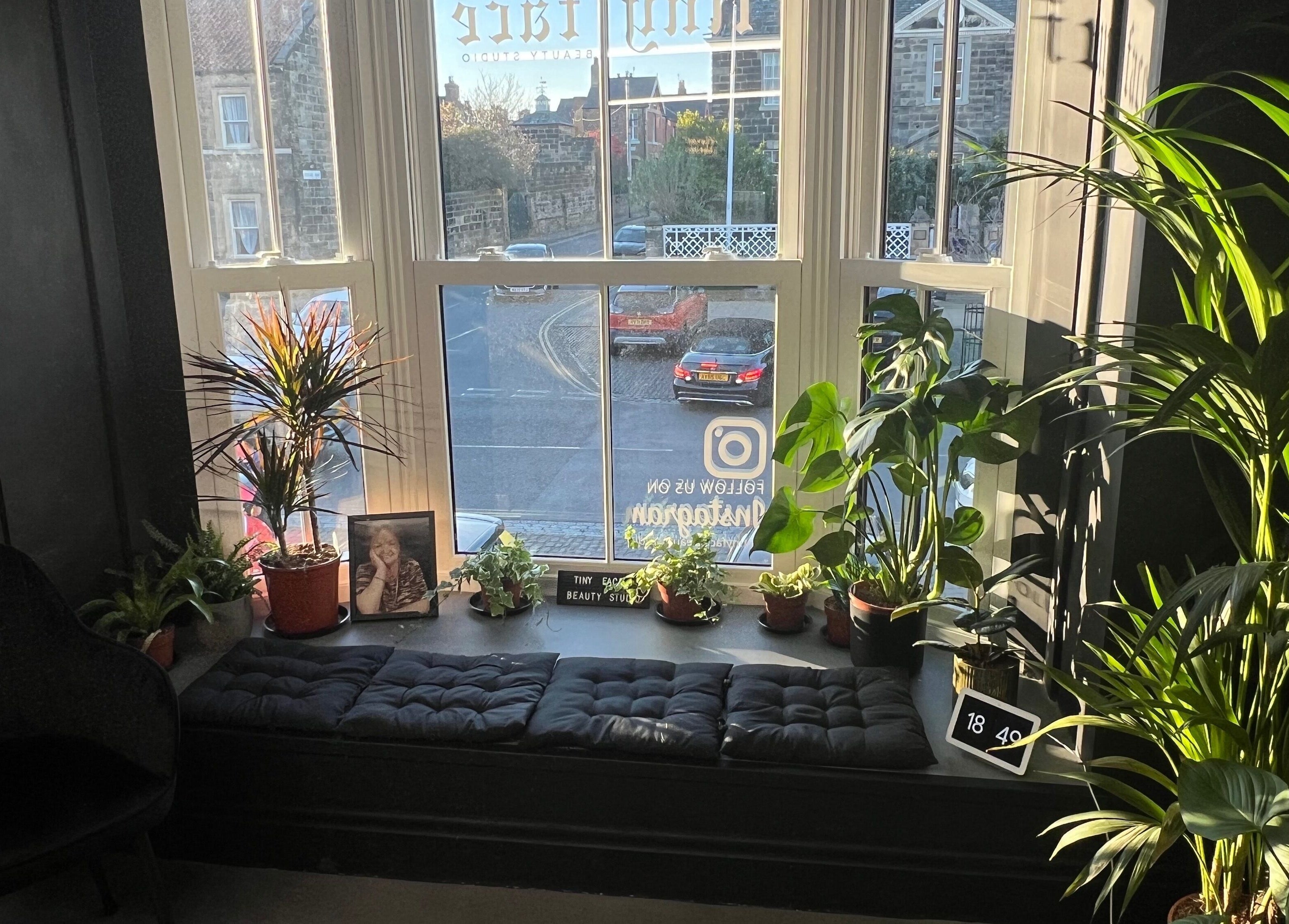 Cozy seating with plants at Tiny Face / Steph, Guisborough, England, GB looking out a sunlit window.