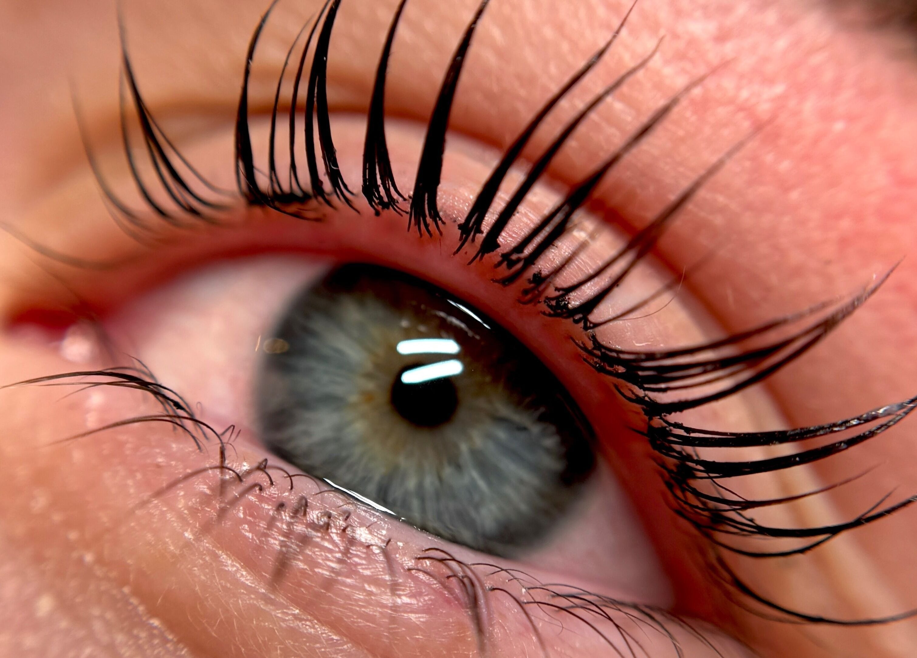 Close-up of styled eyelashes at Crown By Chloe, Dundee, Scotland, GB, showcasing expert beauty care.