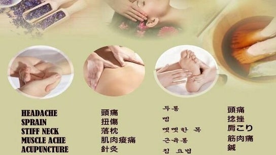 Takapuna Therapeutic Massage