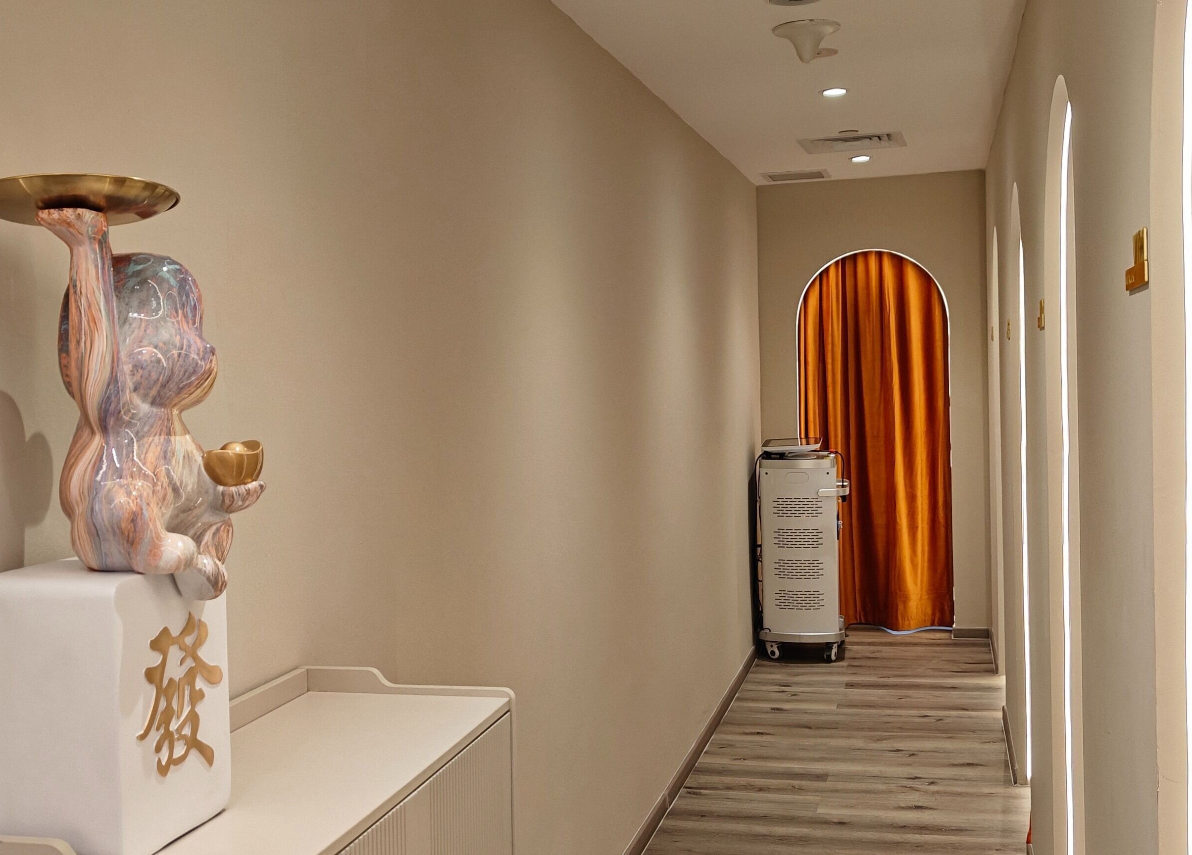 Elegant hallway at Clean and Tidy Orchard, Singapore, SG with golden decor and soft lighting.