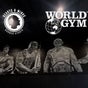 World Gym - Hearts & Minds Barber Studio - 144 Pacific Highway, shop 9, Tuggerah, New South Wales