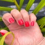 Blush Beauty Spa