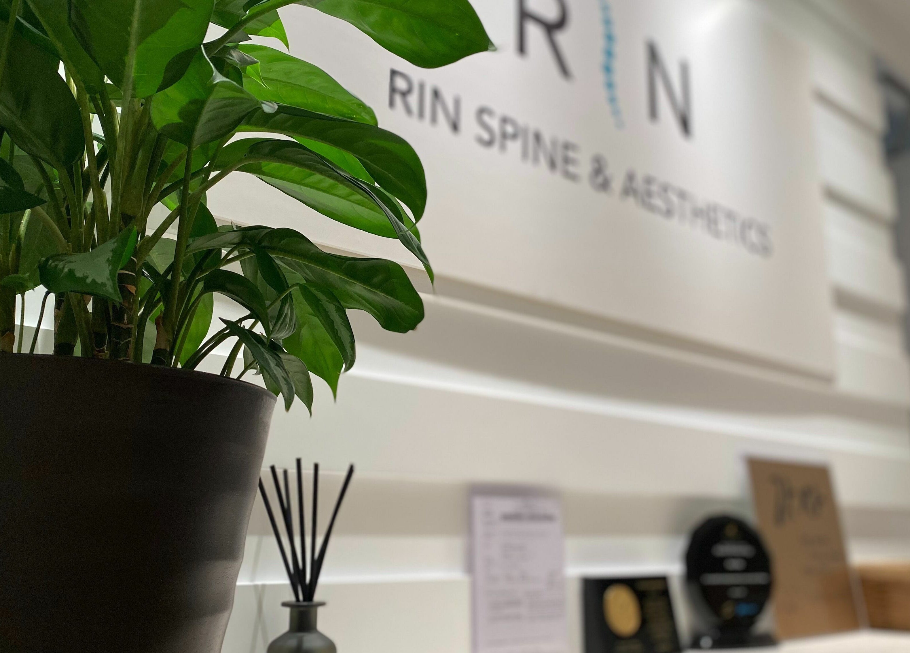 Lush greenery at Rin Spine Clinic: calm ambiance in Hong Kong Island, Hong Kong Island, HK.