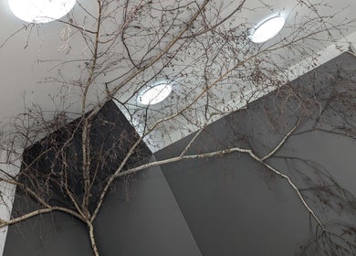 Decorative branches adorn the wall of New Sensations Hairstyling in Melbourne, Victoria, AU.