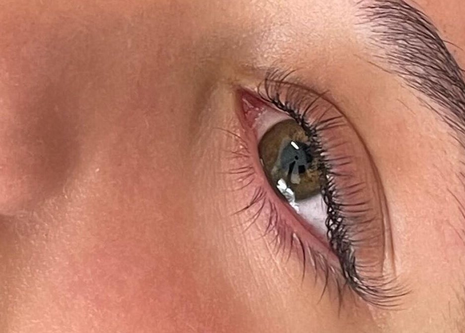 Close-up of beautifully styled eyebrow and lashes at My Lash Room, Hamilton, Waikato, NZ.