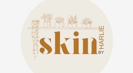 Skin by Harlie