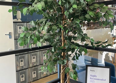 Lush green foliage at THE GLOSS, Lowestoft, England, GB, enhancing the serene wellness ambiance.