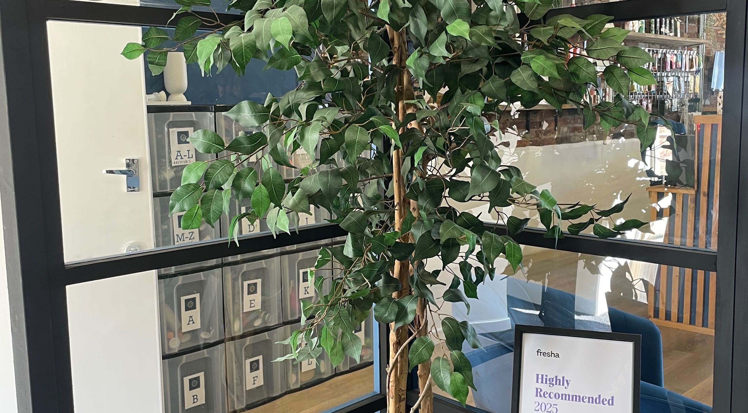 Tranquil green plant near glass wall at THE GLOSS, Lowestoft, England, GB.