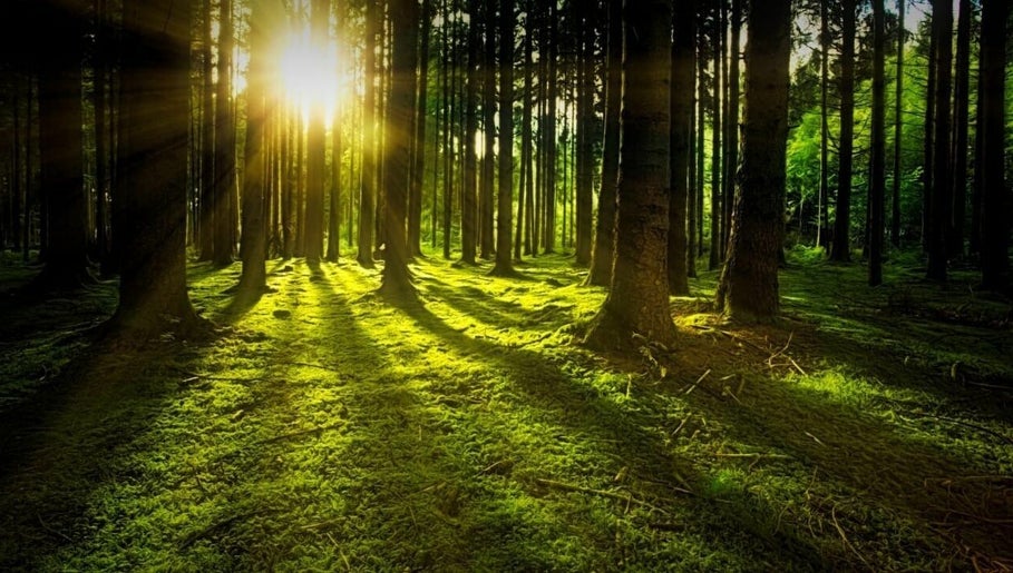 Holistic Healing image 1