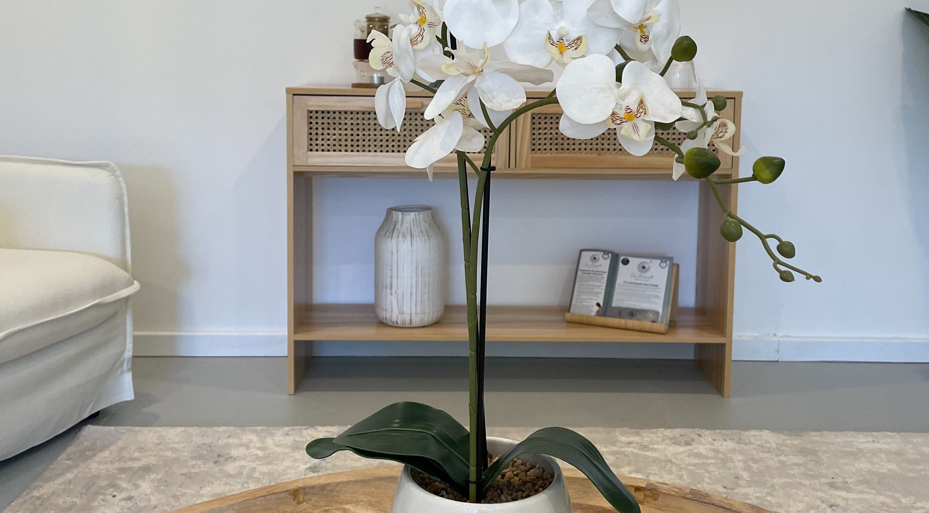 Elegant orchid arrangement in Seu Momento Beauty, Subiaco, Western Australia, AU for a serene ambience.