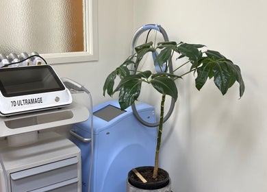 7D Ultramage machine at Hornsby Beauty Salon, Hornsby, New South Wales, AU, next to a green plant.
