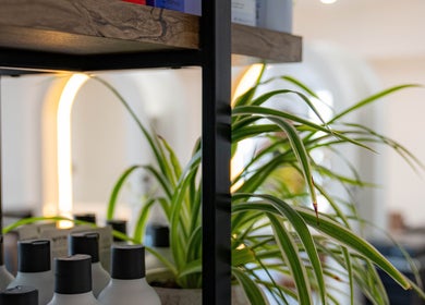 Stylish shelf with hair products and greenery at The Hive Hair • Beauty, St Austell, England, GB.