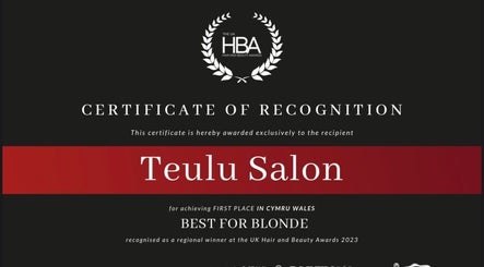 Teulu Salon LTD